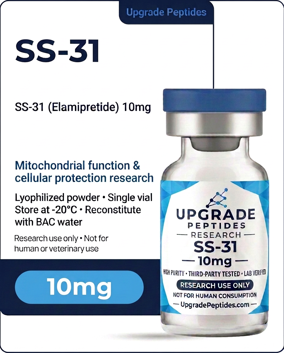 ss-31-arte-produto (1) SS-31 - Image 1